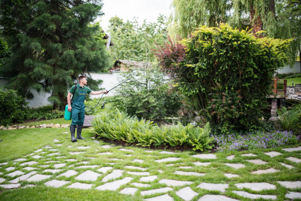Best Insect Control  in Novato, CA
