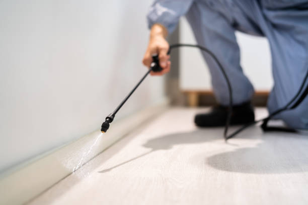 Best Pest Control Near Me  in Novato, CA