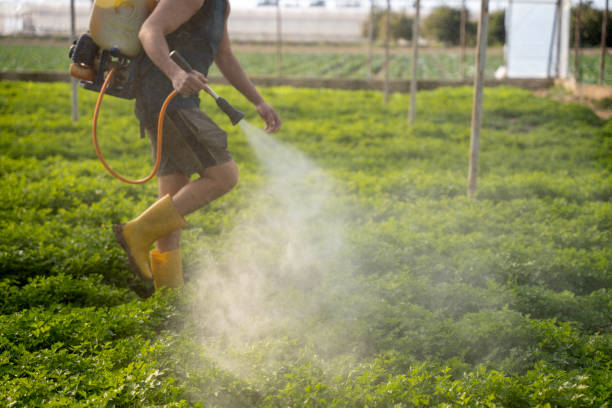 Best Pest Prevention Services  in Novato, CA