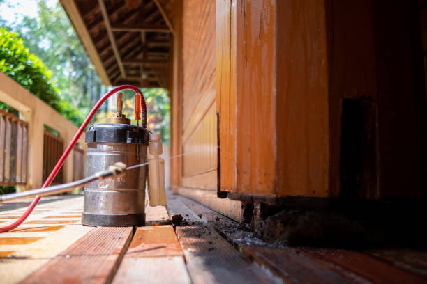 Best Pest Inspection Near Me  in Novato, CA