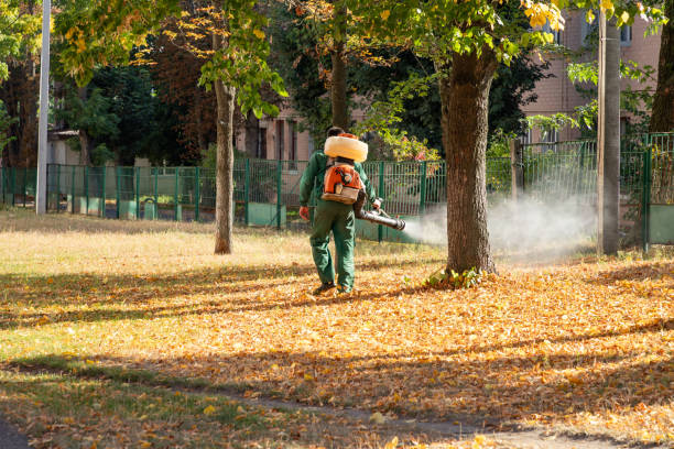 Best Ant Control Services  in Novato, CA
